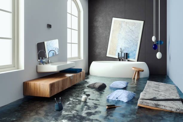 Best Flood damage cleanup  in Mulvane, KS
