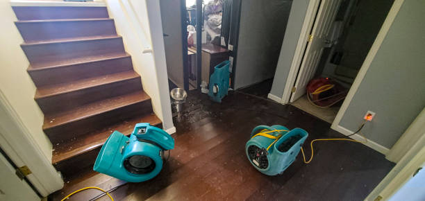 Best Professional water damage repair  in Mulvane, KS