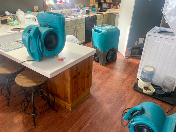 Best Carpet water damage restoration  in Mulvane, KS