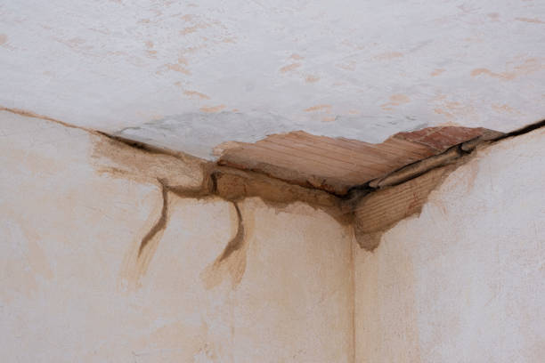 Carpet water damage restoration in KS