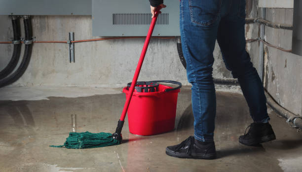 Best Water damage restoration experts  in Mulvane, KS