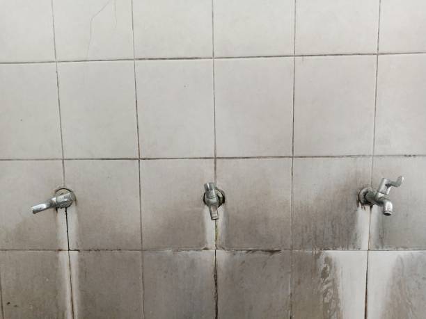 Best Water damage cleanup near me  in Mulvane, KS
