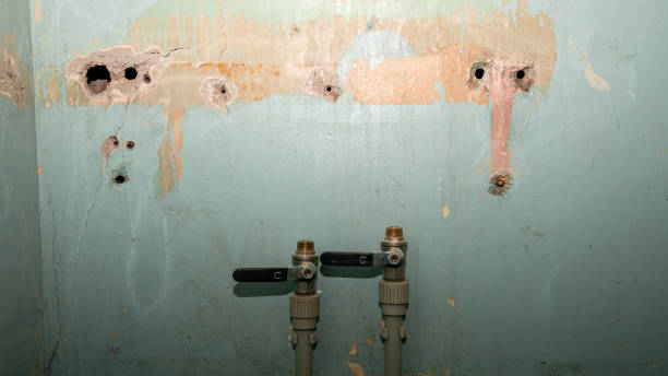 Best Flood restoration services  in Mulvane, KS