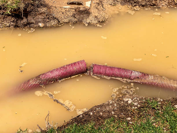 Best Mold removal after water damage  in Mulvane, KS