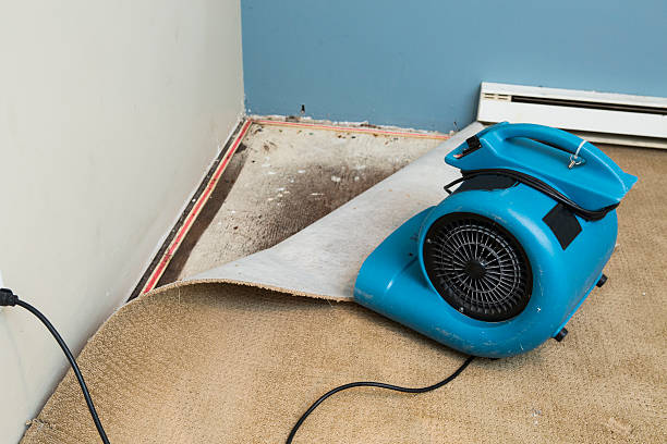 Best Sewage cleanup and water damage restoration  in Mulvane, KS