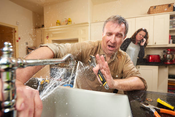 Best Carpet water damage restoration  in Mulvane, KS